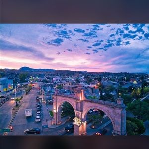 Meet your Posher, Jessie